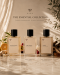 NARQ Essential Collection with Golden Hour, The Glacé and Kairo